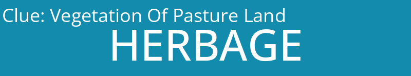 Vegetation Of Pasture Land