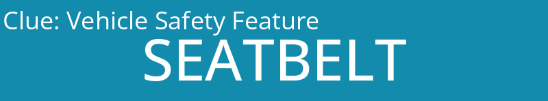 Vehicle Safety Feature