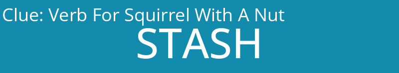 Verb For Squirrel With A Nut