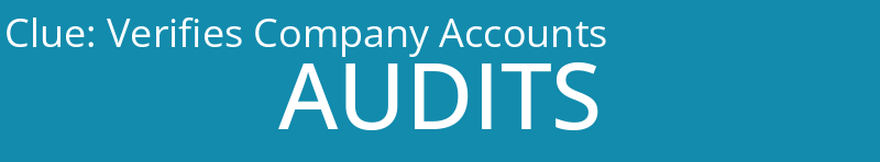 Verifies Company Accounts