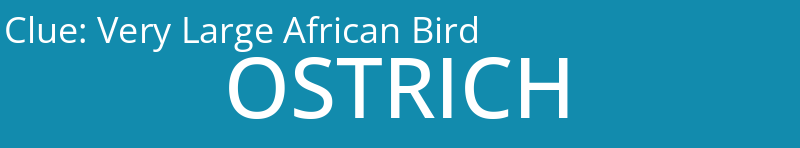Very Large African Bird