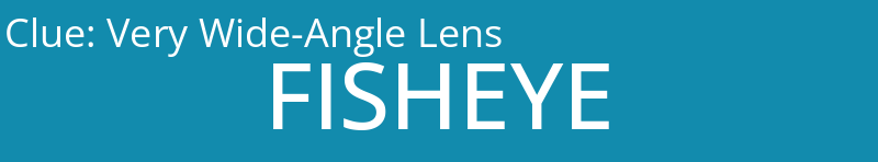 Very Wide-Angle Lens