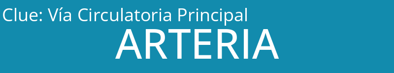 Vía Circulatoria Principal