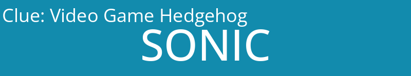 Video Game Hedgehog