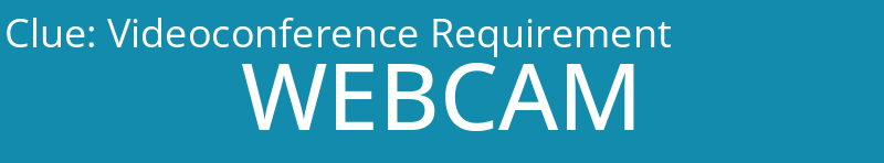 Videoconference Requirement