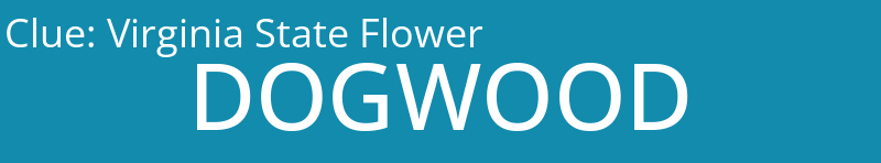 Virginia State Flower