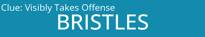 Visibly Takes Offense