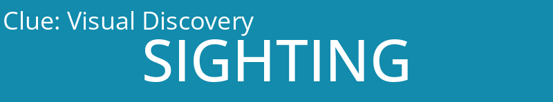 Visual Discovery