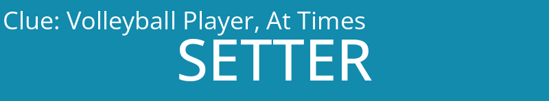 Volleyball Player, At Times