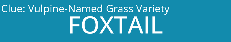 Vulpine-Named Grass Variety
