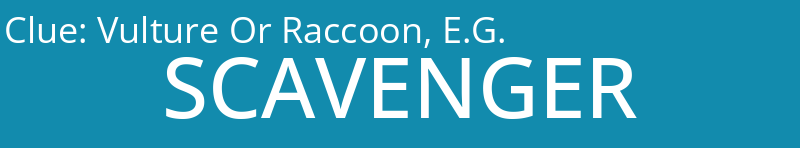 Vulture Or Raccoon, E.G.