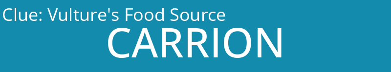 Vulture's Food Source