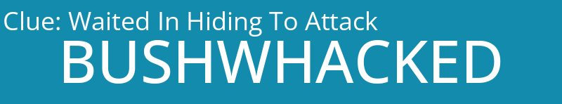 Waited In Hiding To Attack