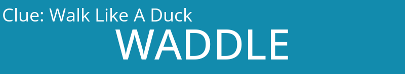 Walk Like A Duck