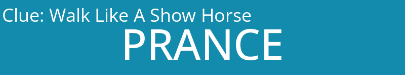 Walk Like A Show Horse