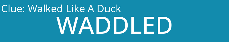 Walked Like A Duck