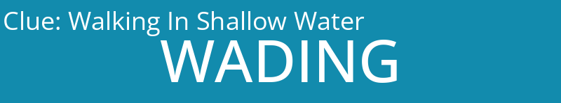 Walking In Shallow Water
