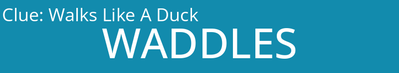 Walks Like A Duck