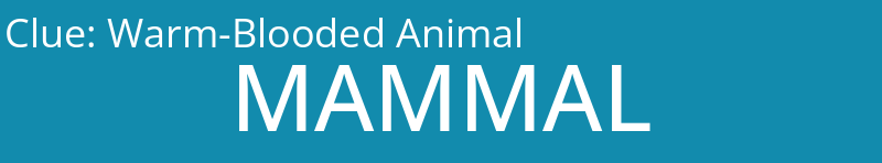 Warm-Blooded Animal