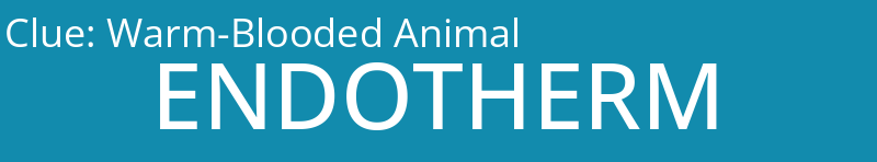Warm-Blooded Animal