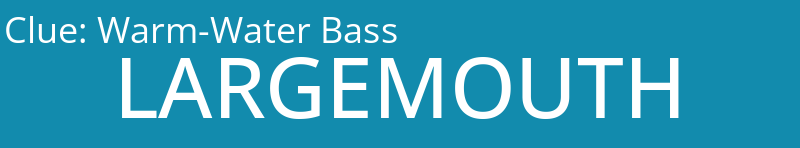 Warm-Water Bass