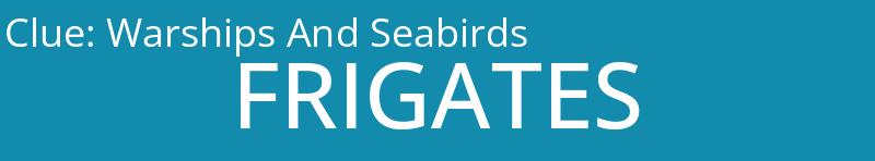 Warships And Seabirds