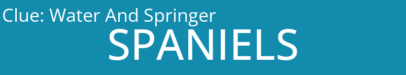 Water And Springer