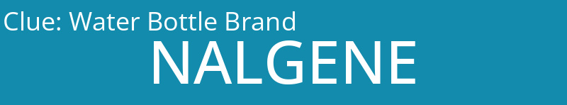 Water Bottle Brand