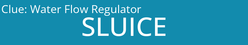 Water Flow Regulator