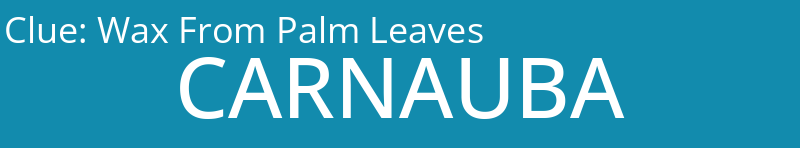 Wax From Palm Leaves