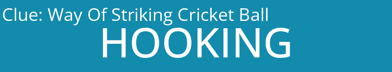 Way Of Striking Cricket Ball