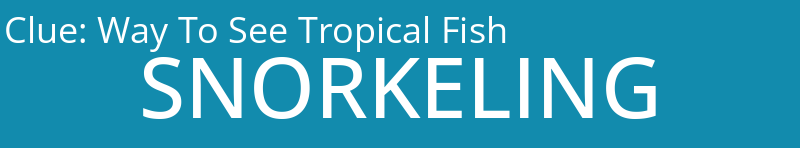 Way To See Tropical Fish