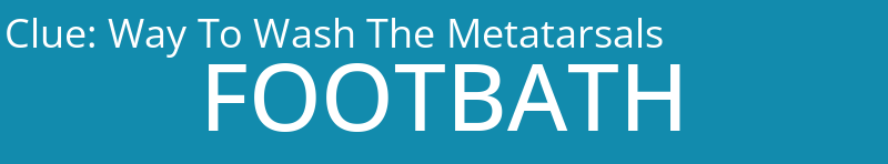 Way To Wash The Metatarsals