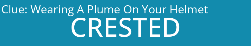 Wearing A Plume On Your Helmet