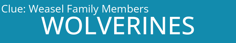 Weasel Family Members