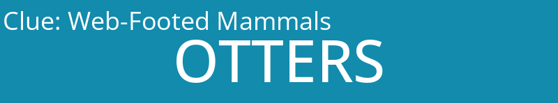 Web-Footed Mammals