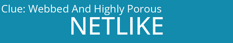 Webbed And Highly Porous