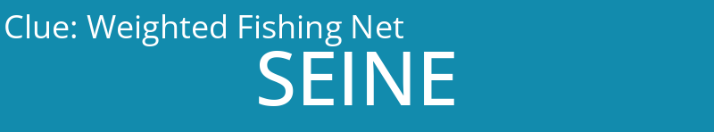 Weighted Fishing Net