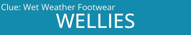 Wet Weather Footwear