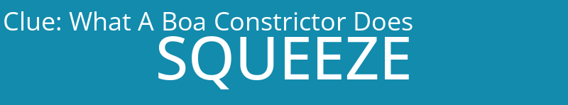 What A Boa Constrictor Does