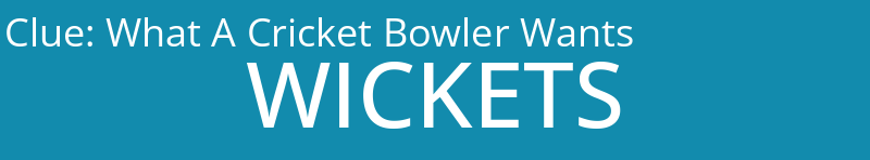 What A Cricket Bowler Wants