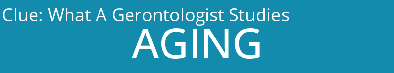 What A Gerontologist Studies