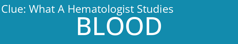 What A Hematologist Studies