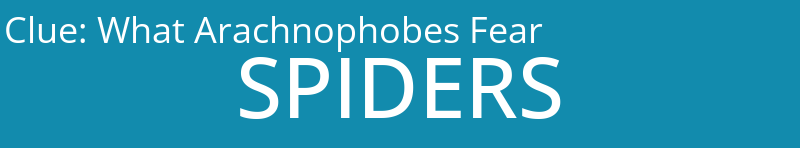 What Arachnophobes Fear