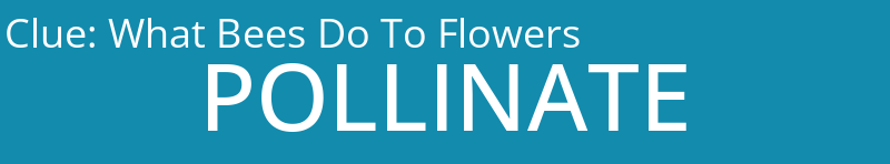 What Bees Do To Flowers