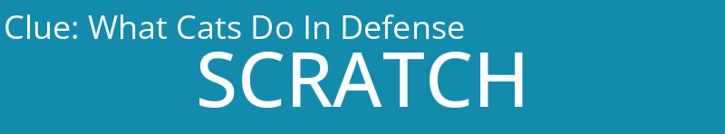 What Cats Do In Defense