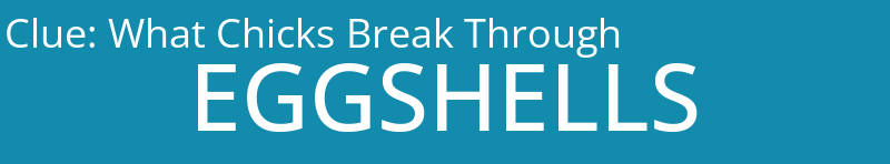 What Chicks Break Through