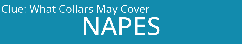 What Collars May Cover