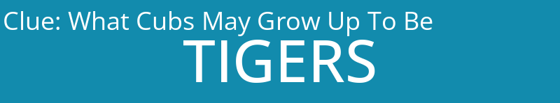 What Cubs May Grow Up To Be