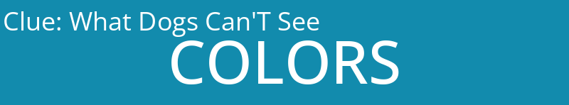What Dogs Can'T See